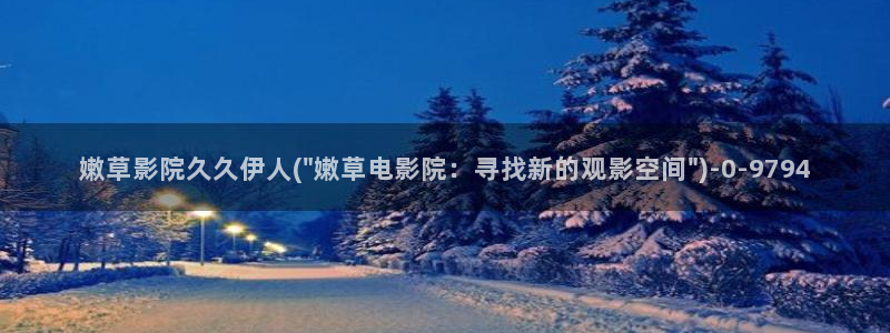 伊人欧美激情久久影院