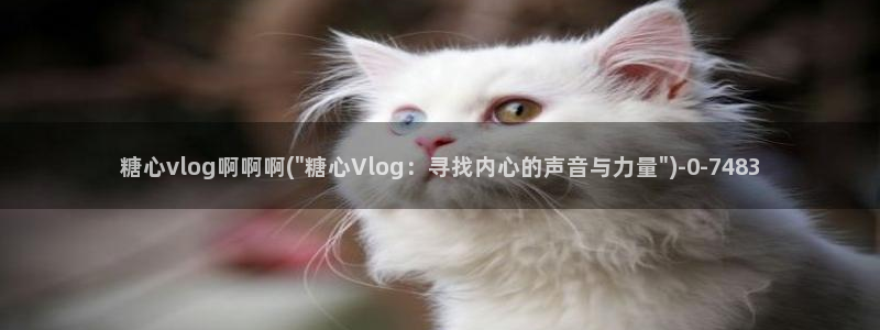 糖心 vlog 入口