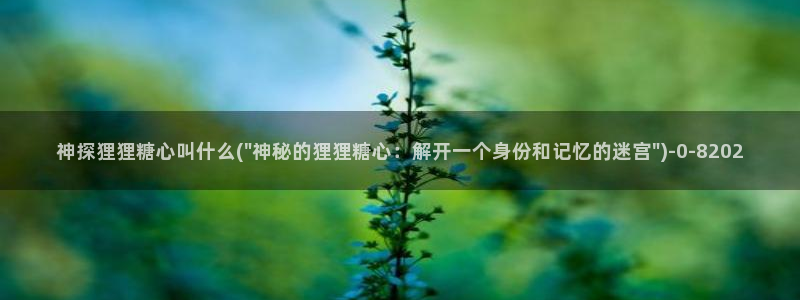 51糖心vlog破解版
