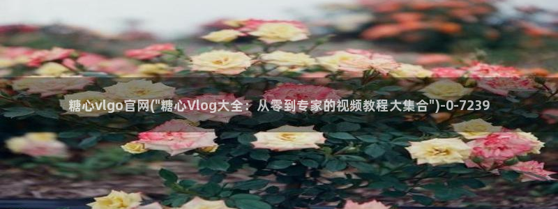 糖心vlog官网版