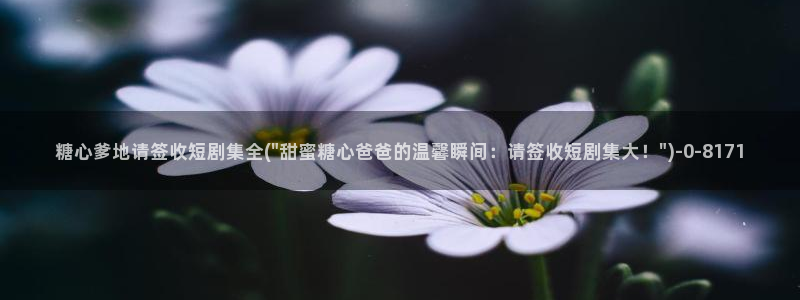 糖心vlog在线免费下载