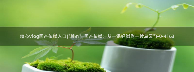 糖心vlog网址进入