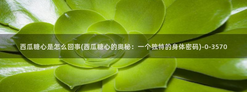 糖心vlog官网ios版本