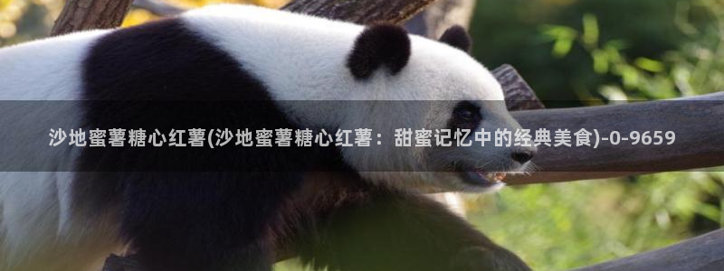 糖心vlog下载入口