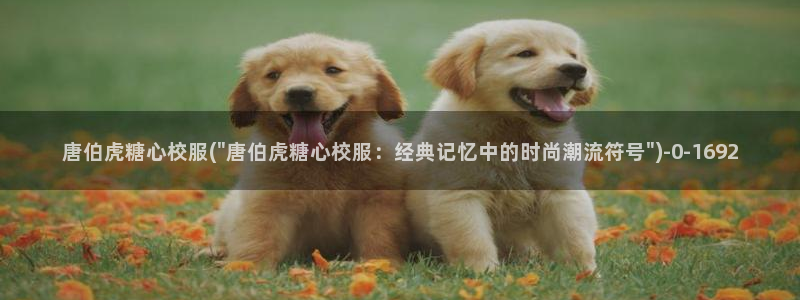 糖心vlog..