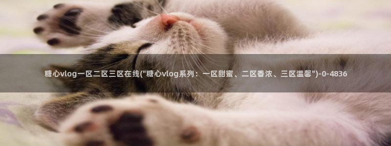 糖心vlog司雨