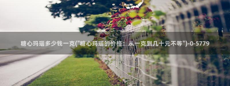 糖心vlog安卓版下载